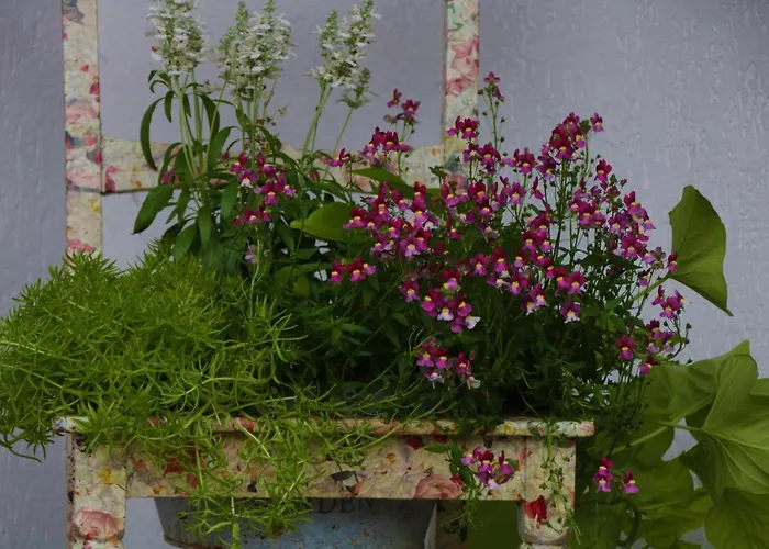 Dein In Сasa de vacaciones *